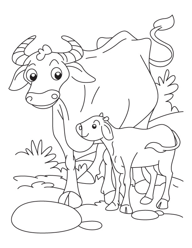 Buffalo with a calf coloring pages | Download Free Buffalo with a calf ...
