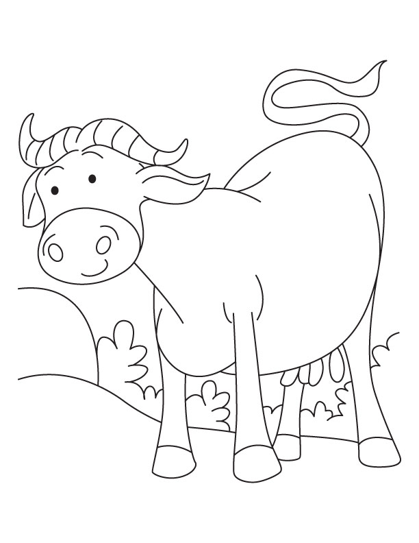 Buffalo standing in field coloring page