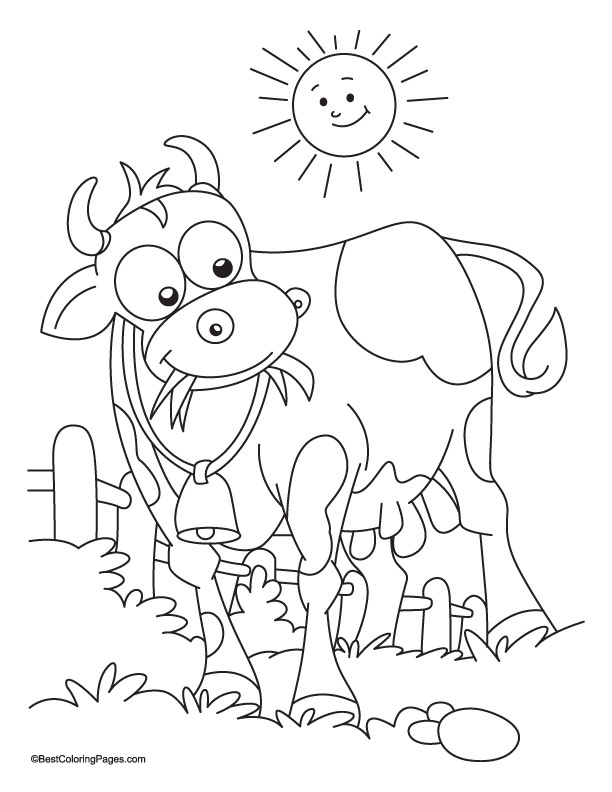 Sun-bathing with grass eating cow coloring page