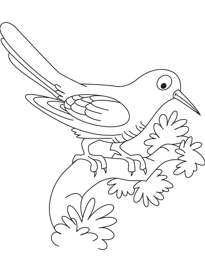 Cuckoo Clock Coloring Pages