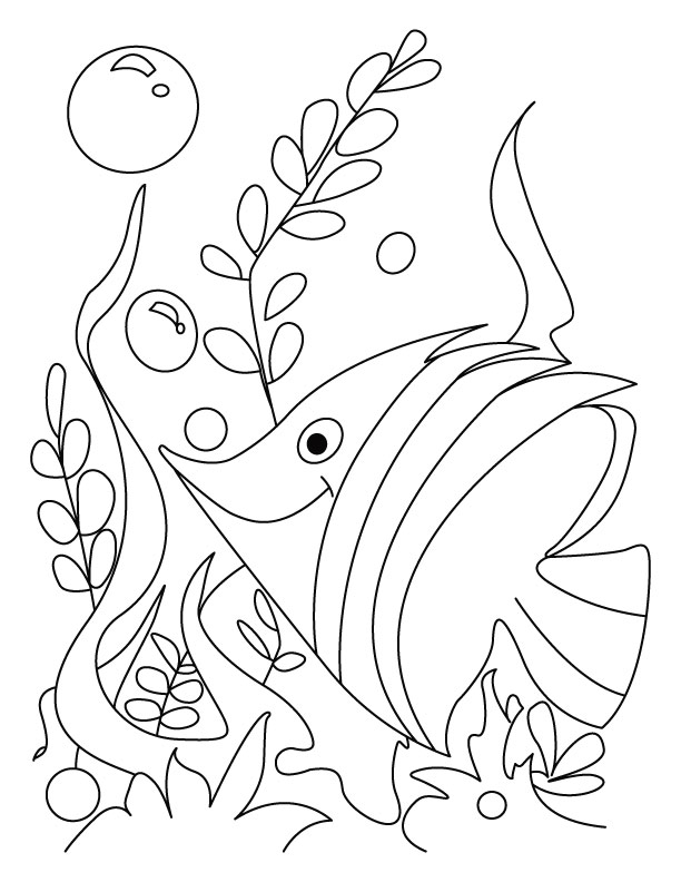 Pout Pout Fish Coloring Page 15