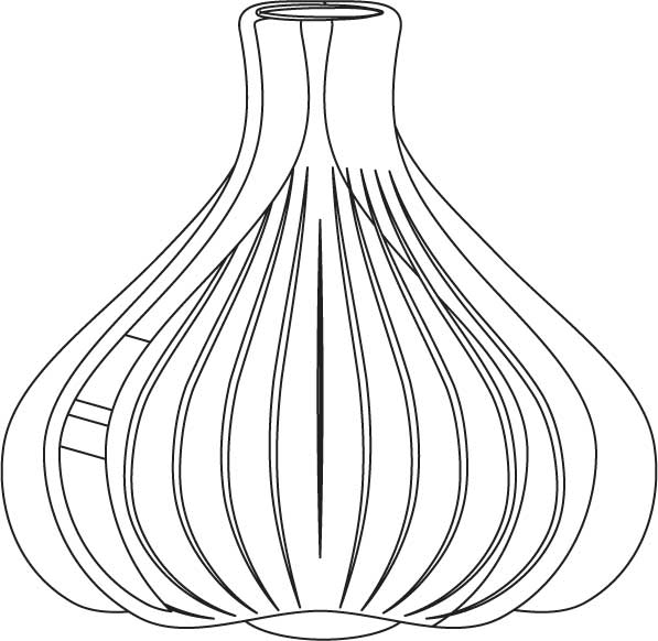 Coloring Pages For Adults Garlic Coloring Pages