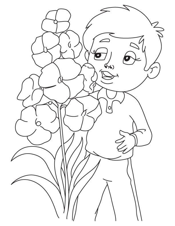 Gladiolus blooming coloring page | Download Free Gladiolus blooming ...