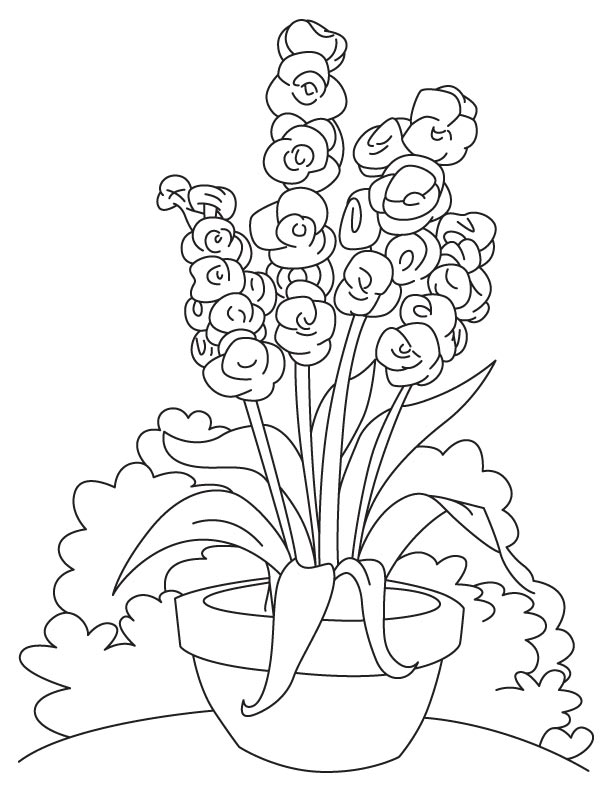 Long gladiolus flower coloring page | Download Free Long gladiolus ...
