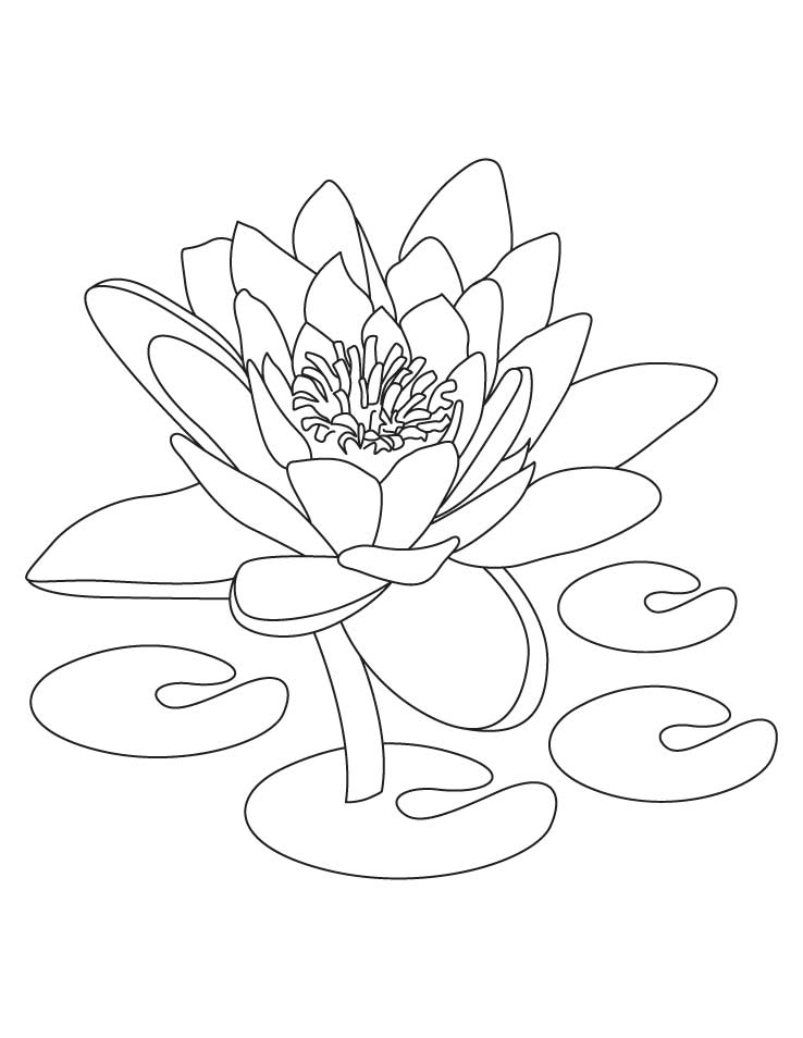 Lotus means symbol of purity coloring pages