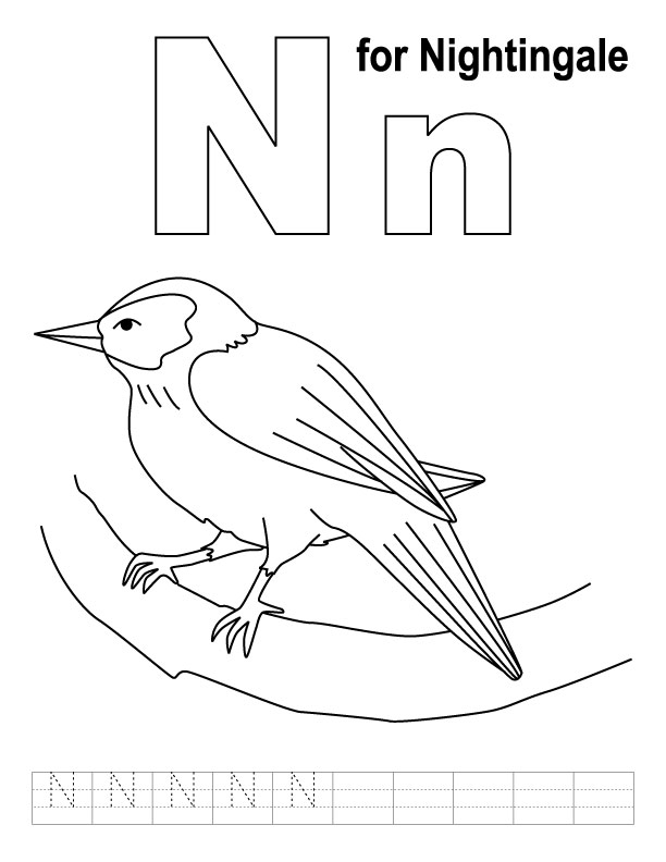 N for nightingale coloring page with handwriting practice | Download ...