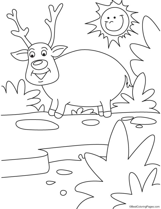 Sun looking at reindeer coloring page | Download Free Sun looking at ...