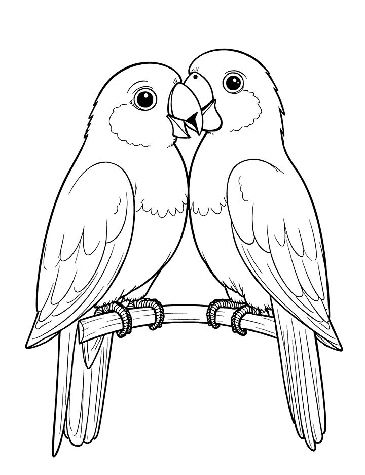 Two parrots coloring page