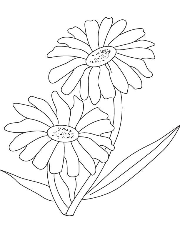 Two red daisy coloring page | Download Free Two red daisy coloring page ...