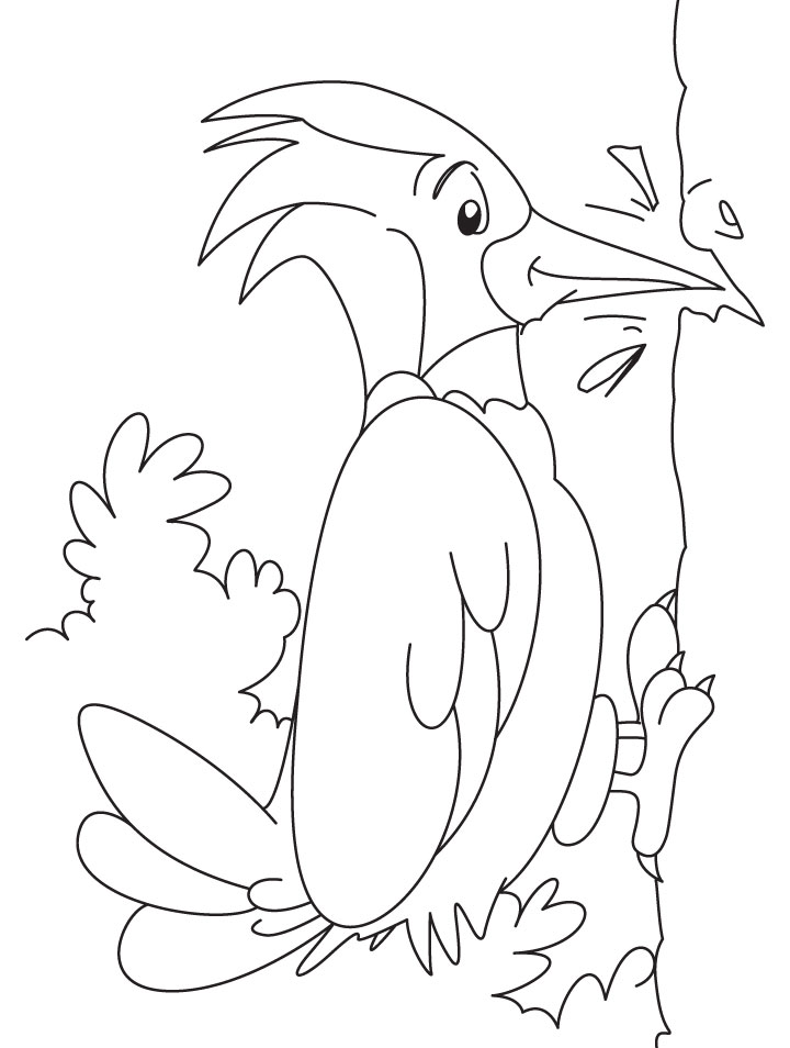 Woodpecker Coloring Pages For Children 1