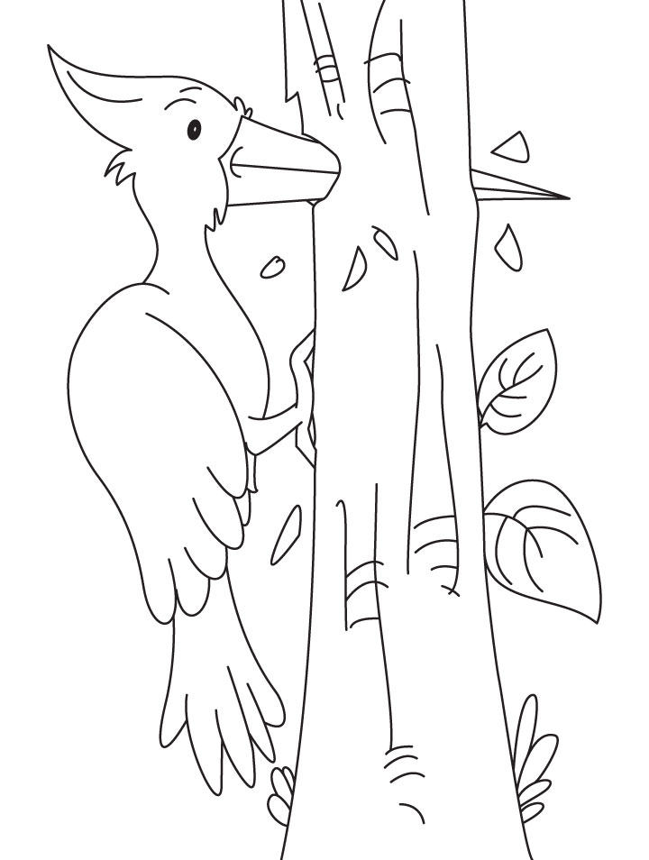 Woodpecker Coloring Pages For Children 8